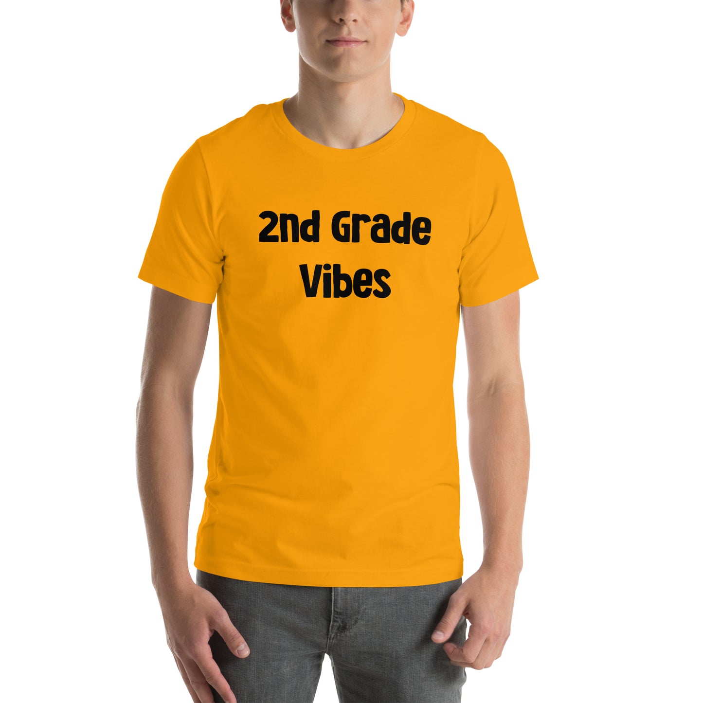 Adults 2nd Grade Vibes T Shirt